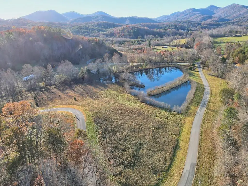307 Plott Town, Blairsville, GA 30512 - #1