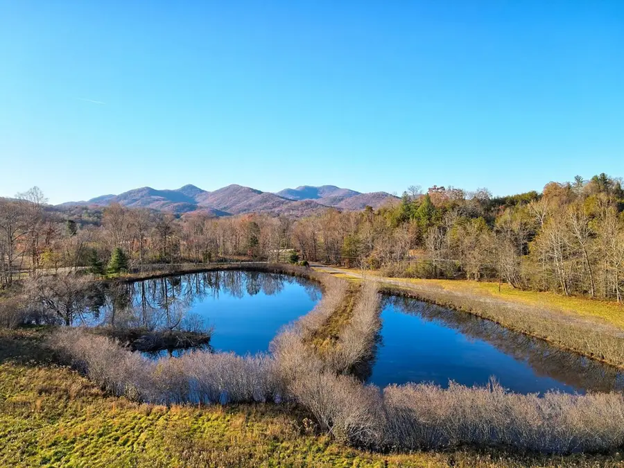 307 Plott Town, Blairsville, GA 30512 - #2