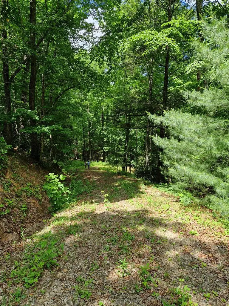 00 Collett Woods Trail, Andrews, NC 28901 - #3