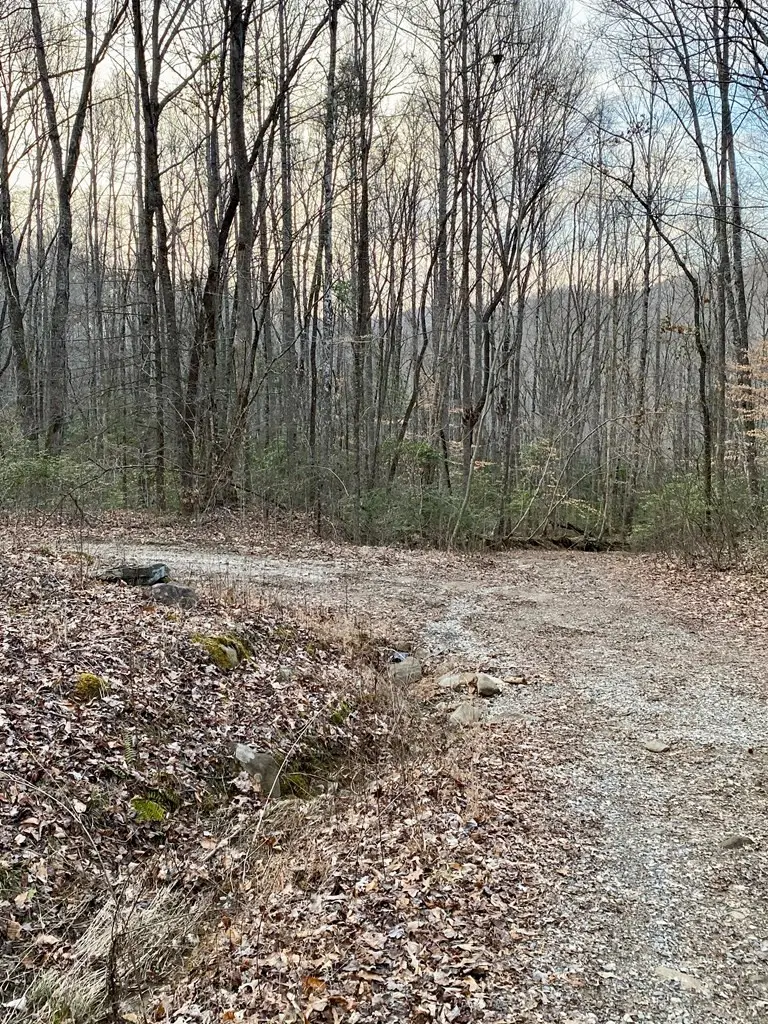 00 Carringer Road, Robbinsville, NC 28771 - #2