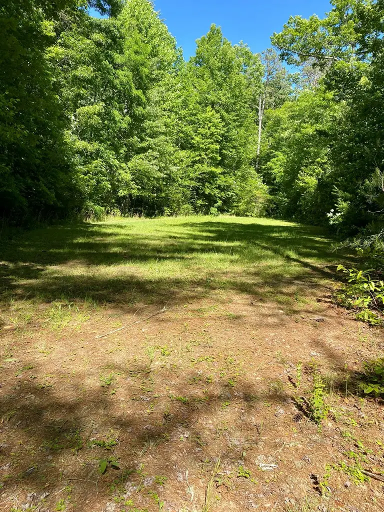00 Deer Run, Robbinsville, NC 28771 - #3