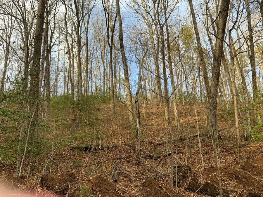 Lot 6 Ivy Log Road, Murphy, NC 28906 - #2