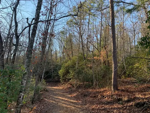 166 Qualla Trail, Murphy, NC 28906