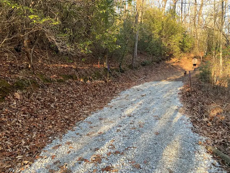 166 Qualla Trail, Murphy, NC 28906 - #2