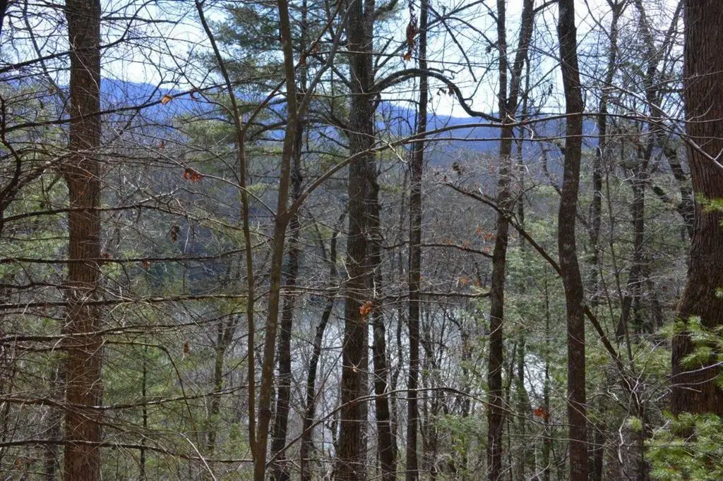 00 Chestnut Ridge, Robbinsville, NC 28771 - #1