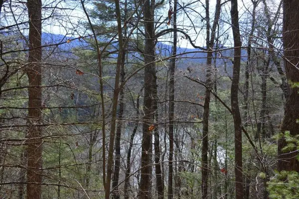 00 Chestnut Ridge, Robbinsville, NC 28771