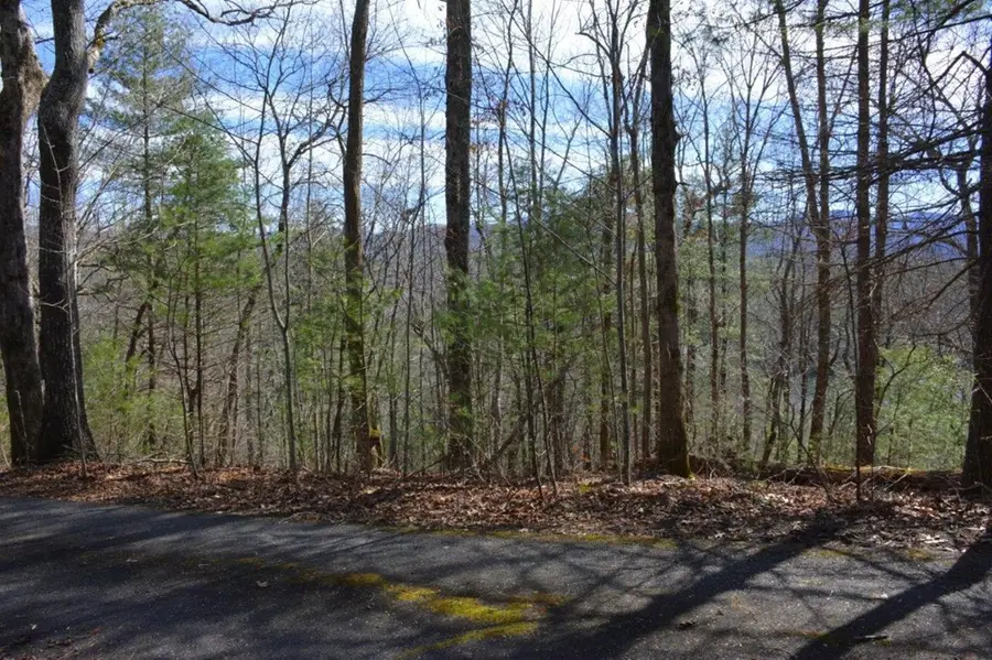 00 Chestnut Ridge, Robbinsville, NC 28771 - #2