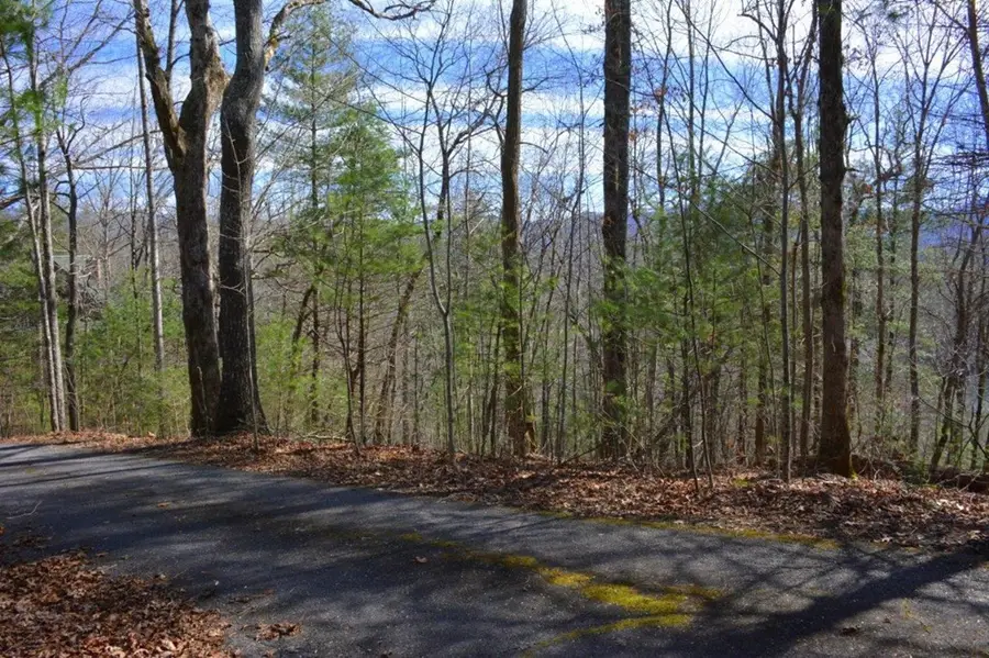 00 Chestnut Ridge, Robbinsville, NC 28771 - #3