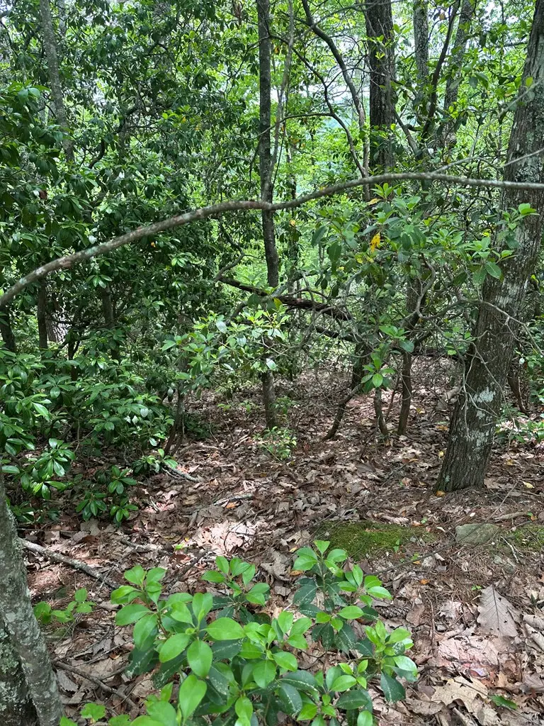 00 Top Horseshoe Ridge, Murphy, NC 28906 - #2