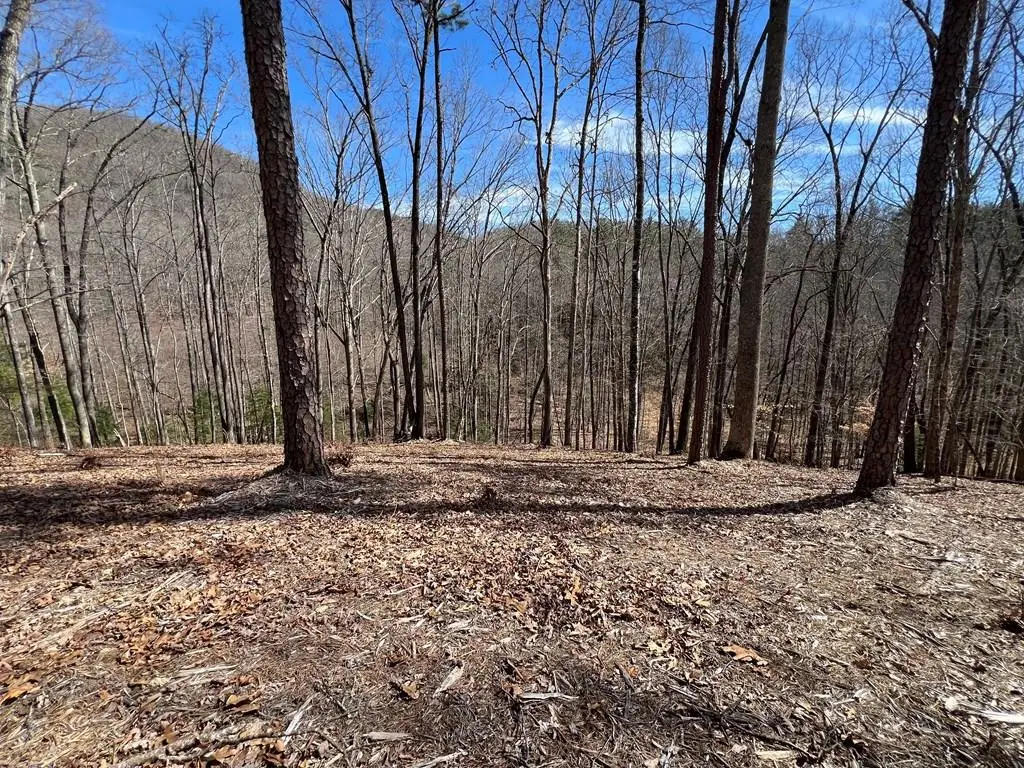 Lot 164 Tracks Hollow, Murphy, NC 28906 - #1