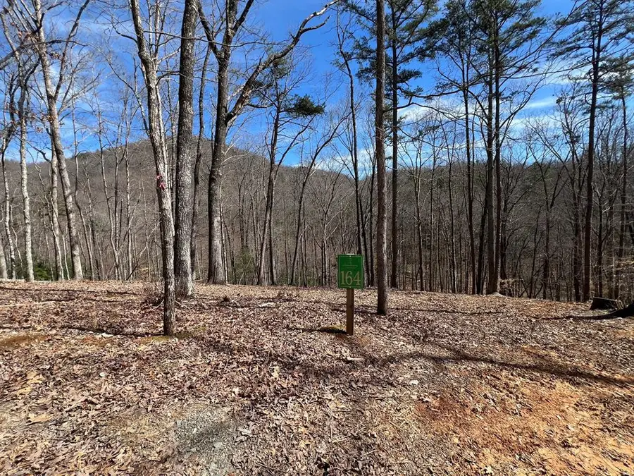 Lot 164 Tracks Hollow, Murphy, NC 28906 - #2