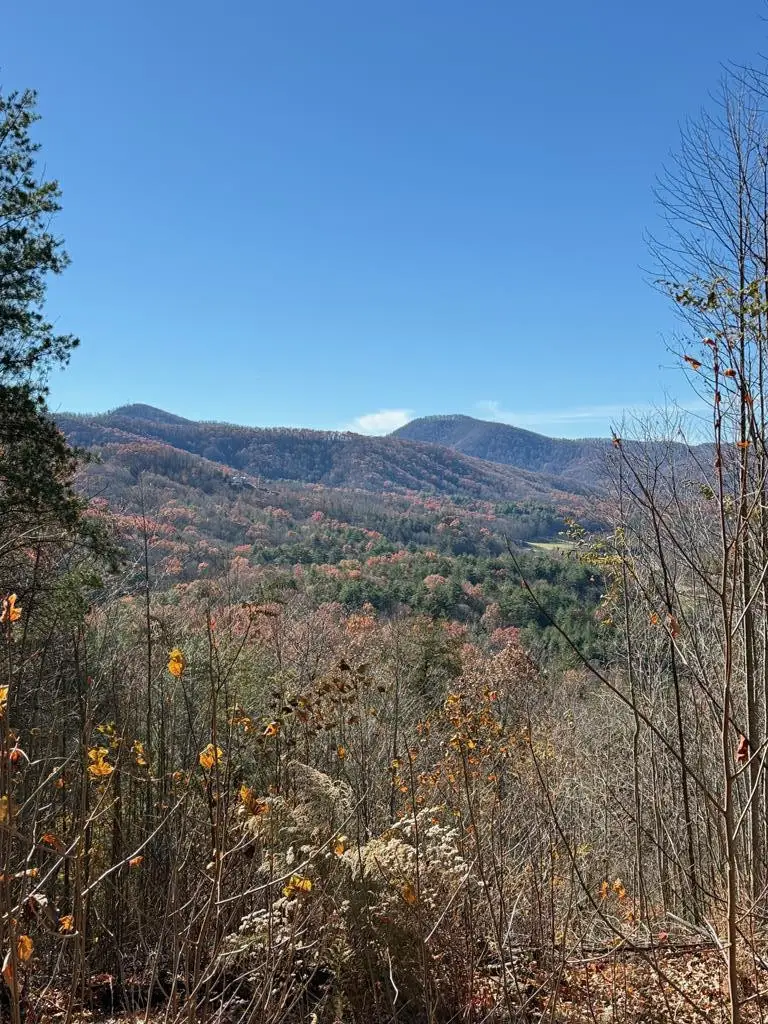 Lot 13 View Ridge Trail, Murphy, NC 28906 - #1