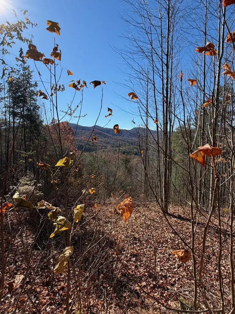 Lot 14 View Ridge Trail, Murphy, NC 28906 - #1
