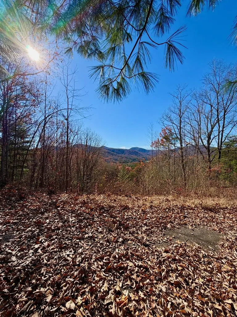 Lot 14 View Ridge Trail, Murphy, NC 28906 - #3