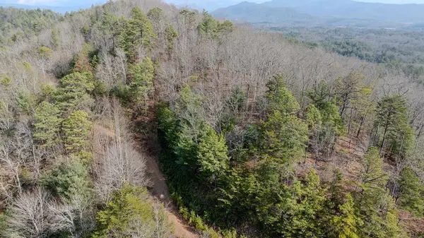 2.57 Scottie Mountain Circle, Murphy, NC 28906