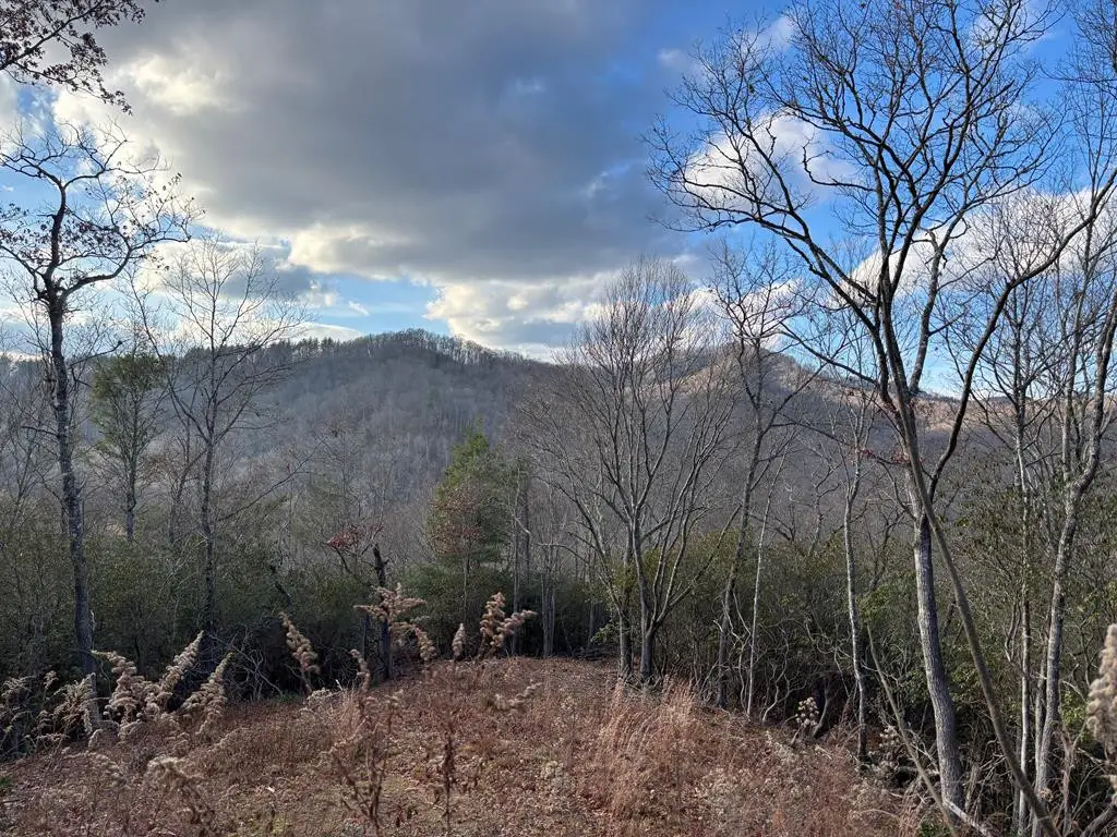 2.02 AC Viewforth, Nantahala, NC 28781 - #1