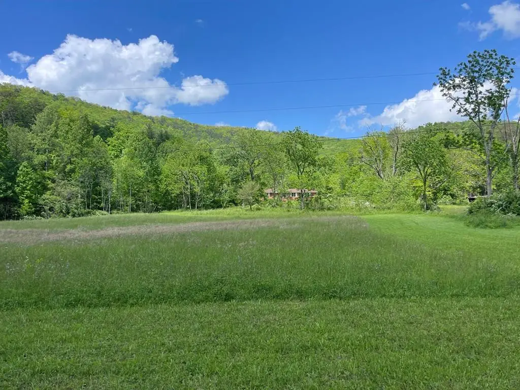 155 Cedar Cliff Lane, Murphy, NC 28906 - #1