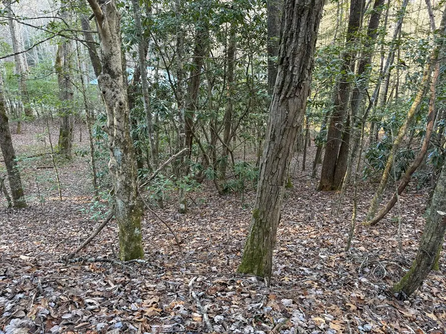 00 Old Faber Road, Topton, NC 28781 - #3