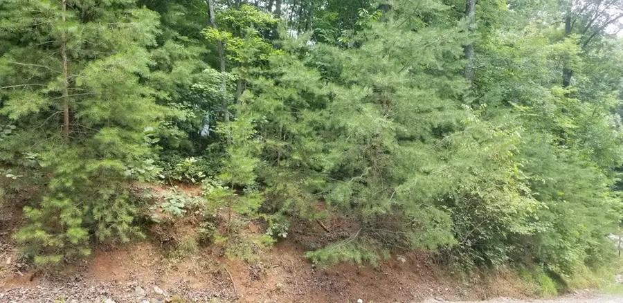 Lt 53 River Ridge, Blue Ridge, GA 30513 - #3