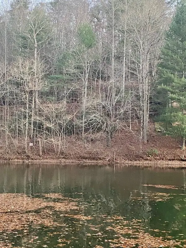 Lot 5 The Landings, Robbinsville, NC 28771