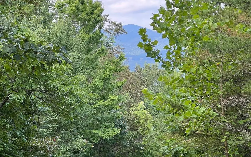 Lot 11 The Preserve, Brasstown, NC 28902 - #1