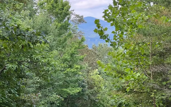 Lot 11 The Preserve, Brasstown, NC 28902