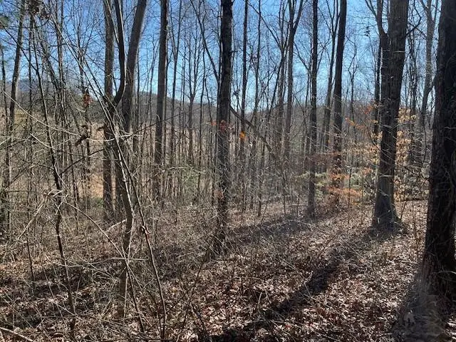 Lot 2E The Woodlands, Hayesville, NC 28904 - #1