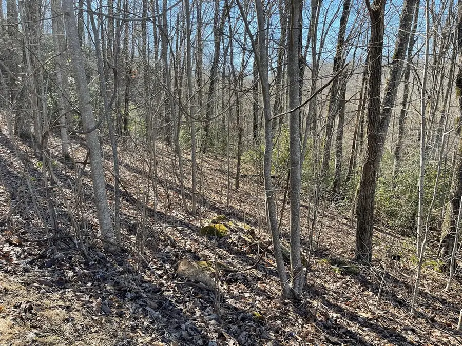 Lot 34J Ash Branch Road, Hayesville, NC 28904 - #2