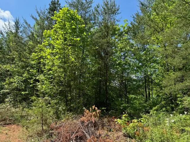 Lot 11 Paradise, Marble, NC 28905 - #1