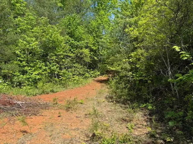 Lot 11 Paradise, Marble, NC 28905 - #2