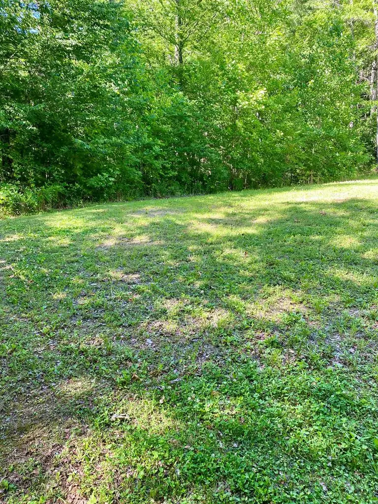 00 Deer Run, Robbinsville, NC 28771 - #1