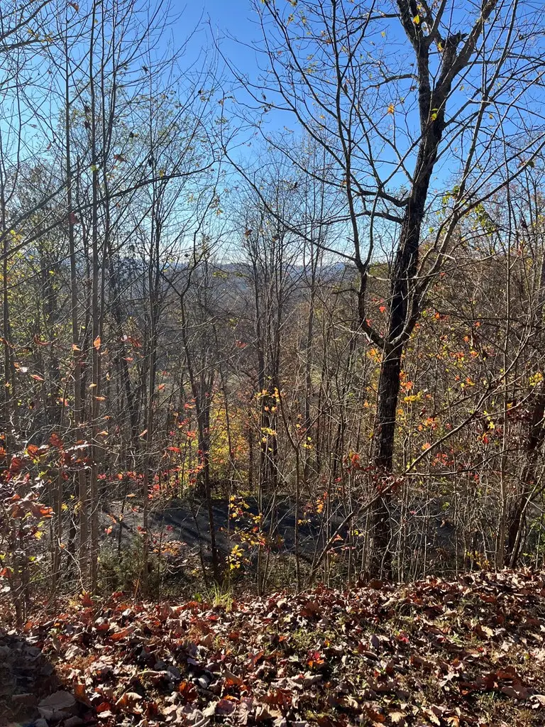 41 42 43 Ridges, Hayesville, NC 28904 - #2