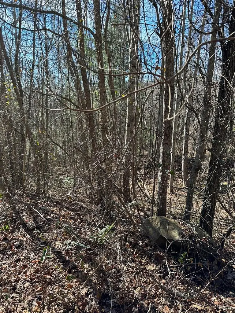 5 lots Ali Drive, Hayesville, NC 28904 - #3