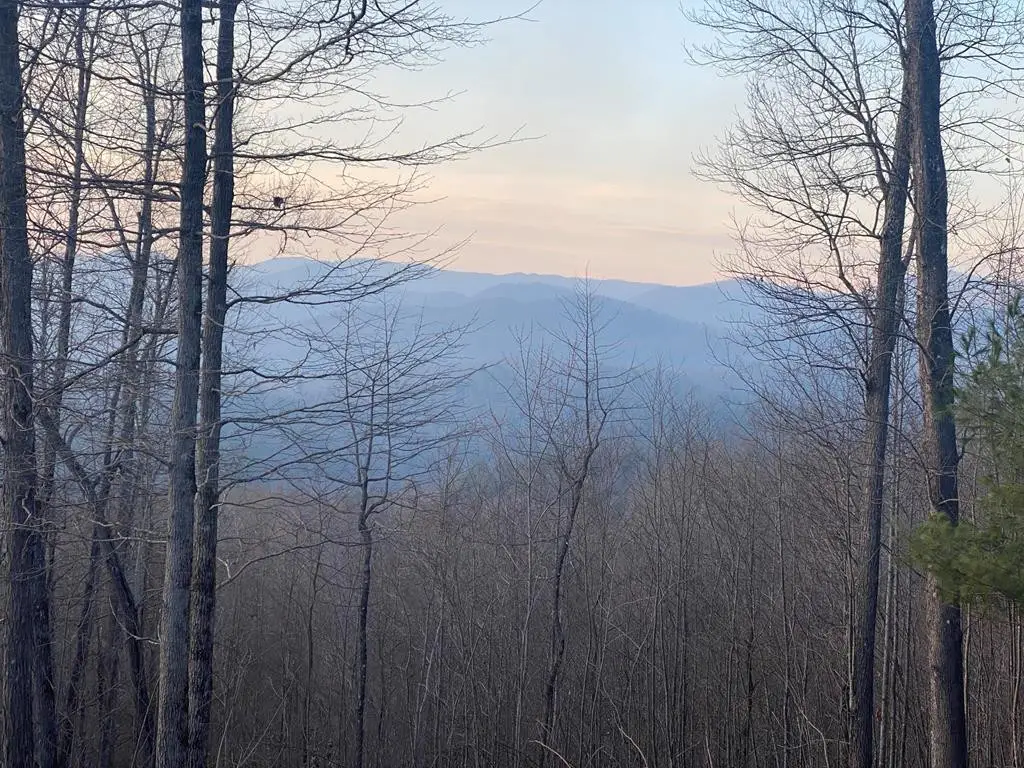 lot 40 Big Sky Drive, Murphy, NC 28906 - #1