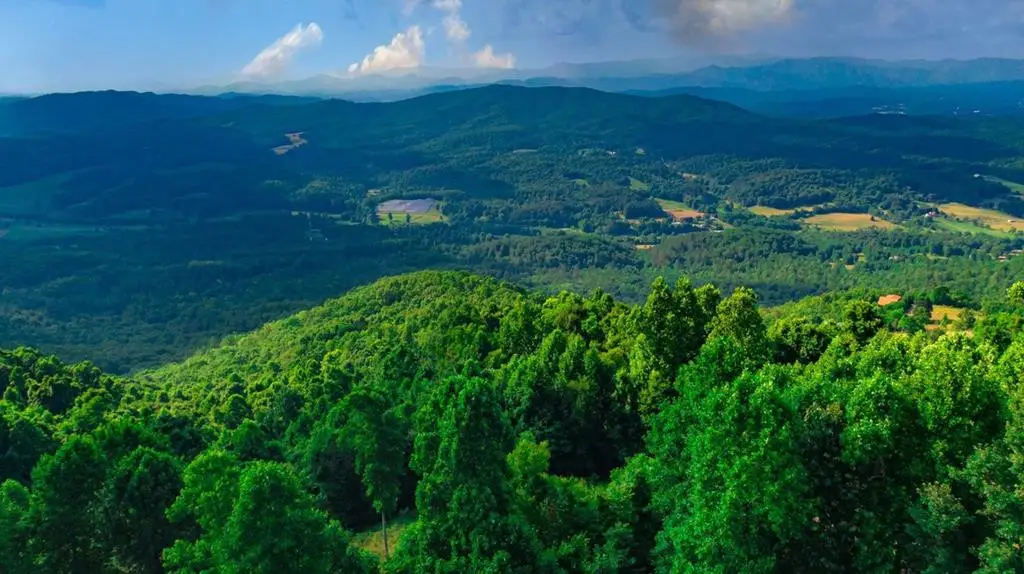 Tract 2G Mason Lane, Brasstown, NC 28902 - #1
