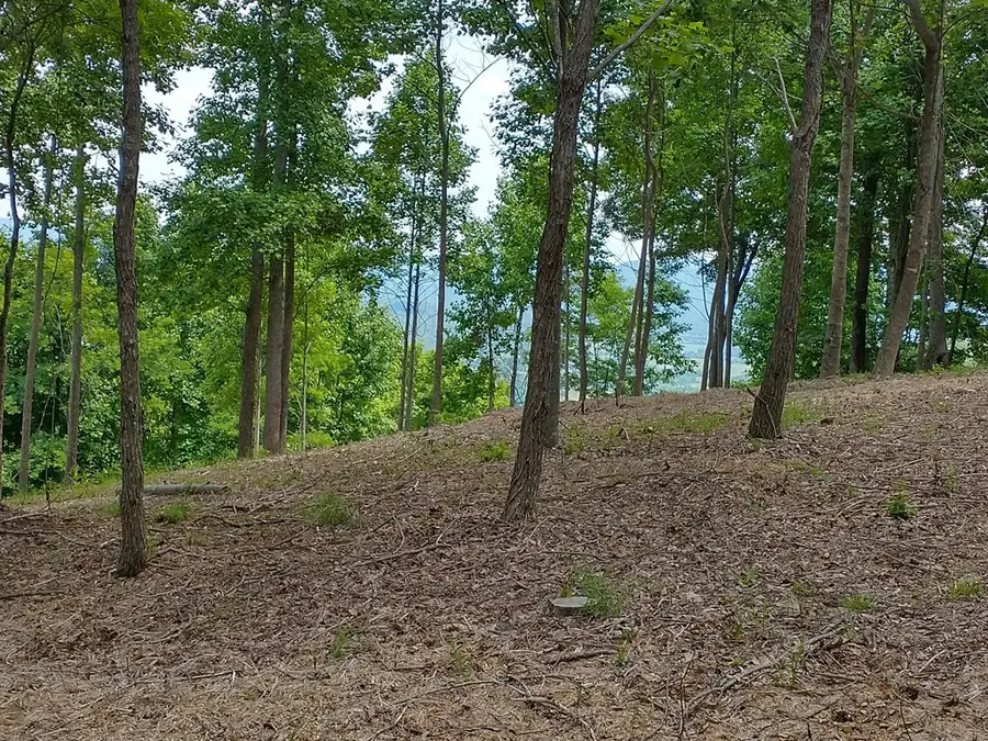 Tract 2G Mason Lane, Brasstown, NC 28902 - #3