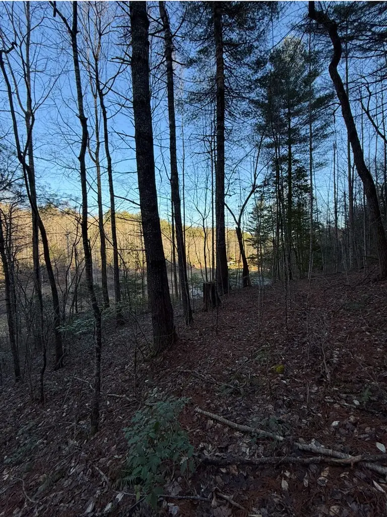 TBD Grape Creek Road, Murphy, NC 28906 - #3