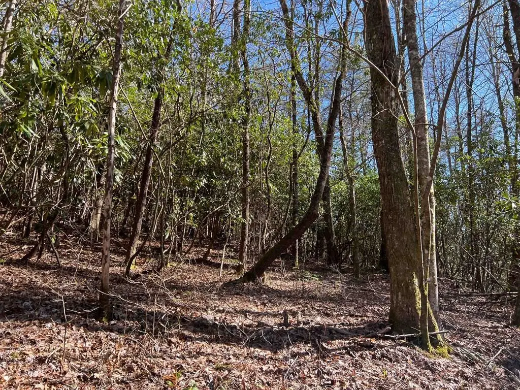 4.90 Wayah Road, Topton, NC 28781 - #1