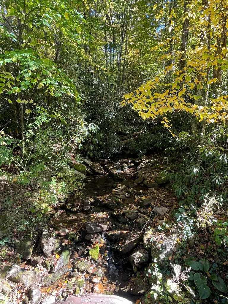 00 E Mill Creek, Robbinsville, NC 28771 - #1
