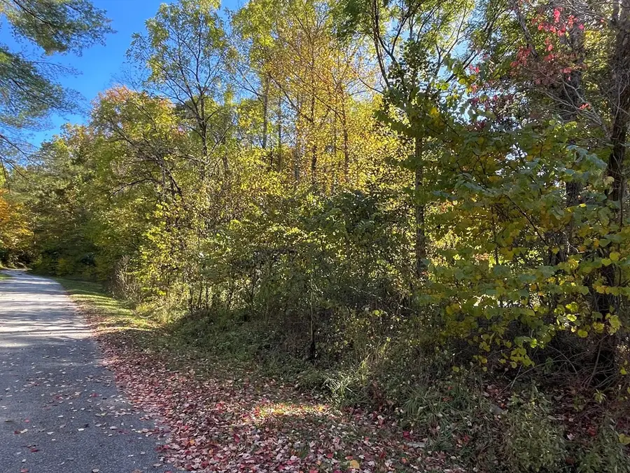 00 E Mill Creek, Robbinsville, NC 28771 - #2