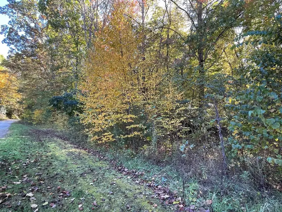 00 E Mill Creek, Robbinsville, NC 28771 - #3