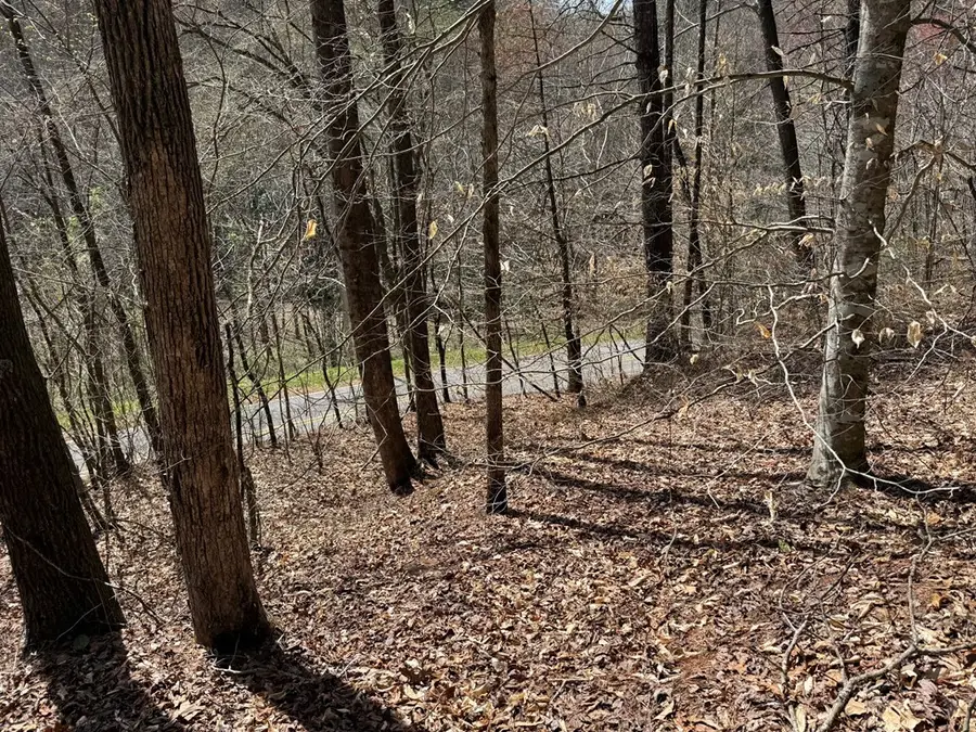 0 Morrow Road, Murphy, NC 28906 - #3