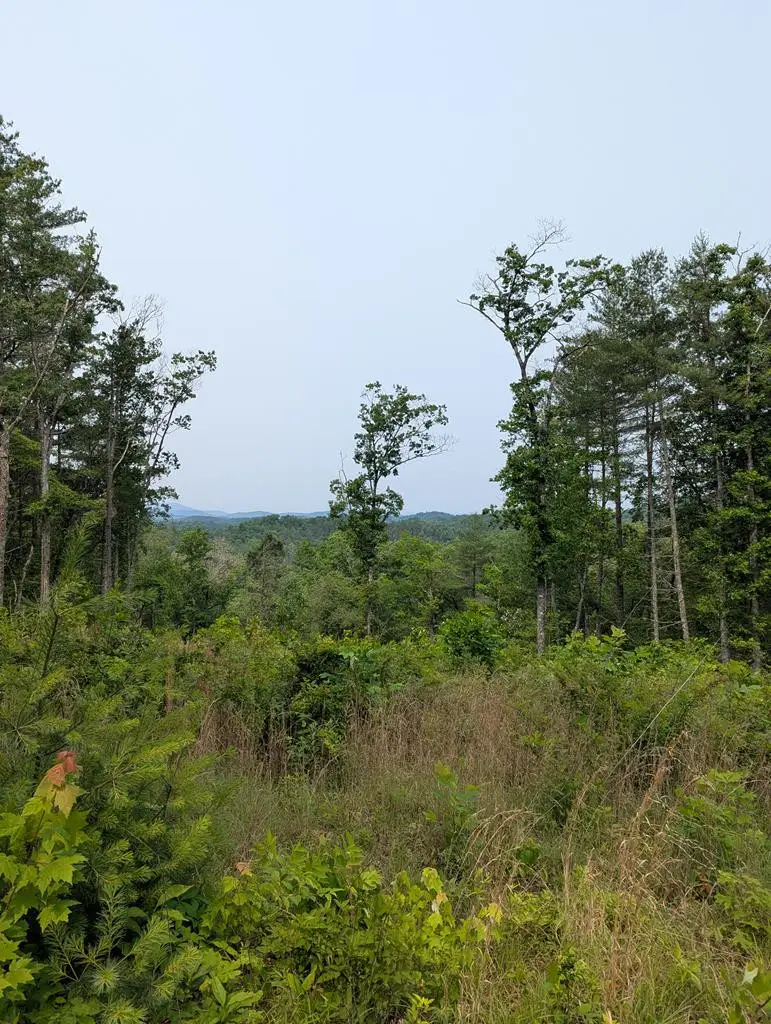 00 Martin Road, Murphy, NC 28906 - #1