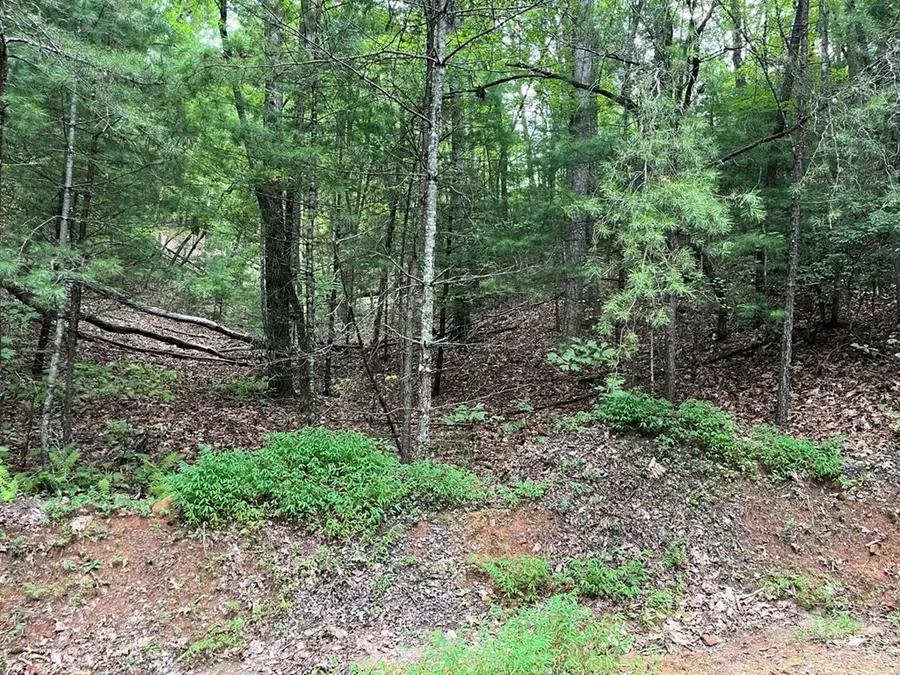 TBD Atoah Loop, Murphy, NC 28906 - #3