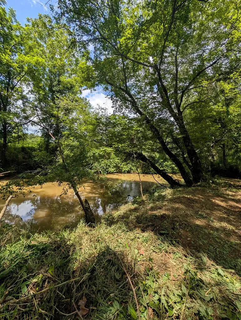 1.0 Ac Old Hwy 64 W, Warne, NC 28909 - #2