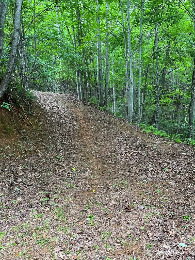 Lt 527-3 Farmers Top Drive, Murphy, NC 28906 - #2