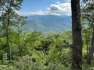 Lot 30 Hickory Cove Road, Bryson City, NC 28713 - #1