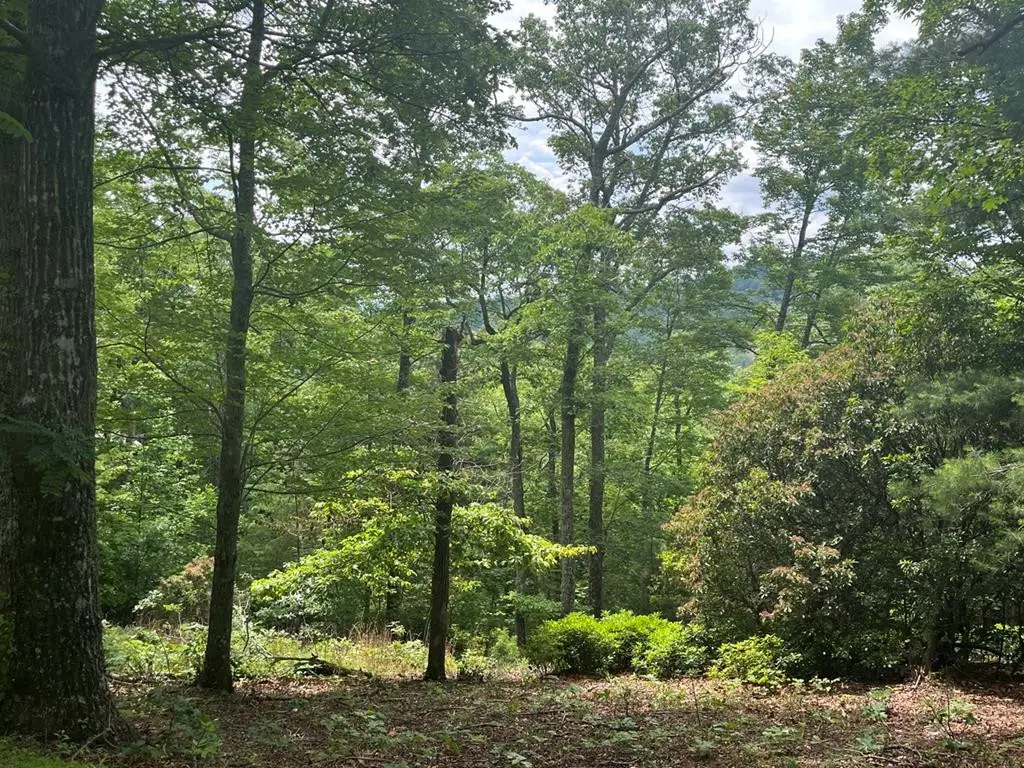 lot 40 Burger Road, Murphy, NC 28906 - #1