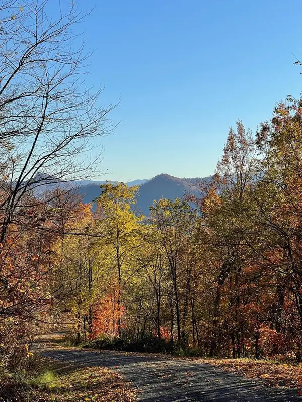 Lot 58M Ridges, Hayesville, NC 28904