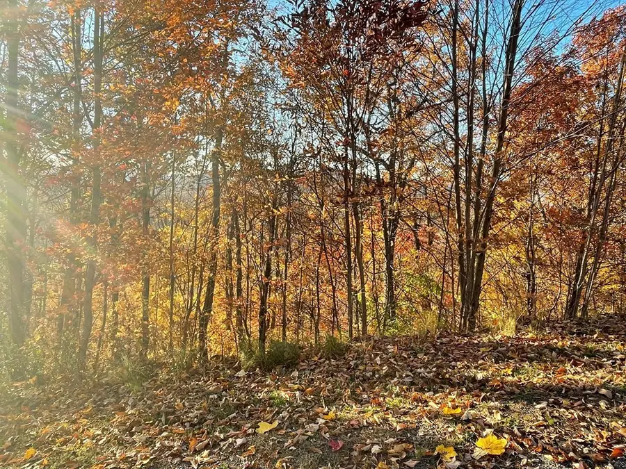 Lot 58M Ridges, Hayesville, NC 28904 - #2